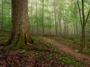 Catoctin Mountain Park