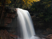 Monongahela National Forest