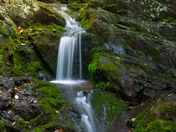 Shenandoah National Park