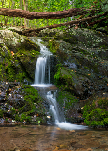 Shenandoah National Park