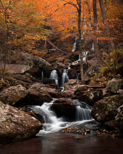 Shenandoah National Park