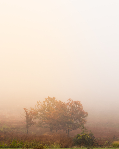 Shenandoah National Park