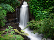 Chattahoochee River National Recreation Area