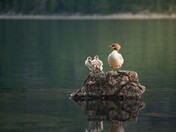 Acadia National Park