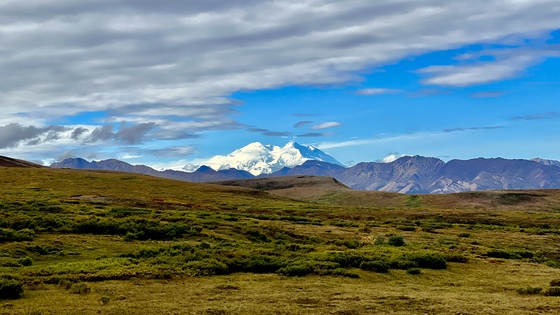 Denali National Park & Preserve