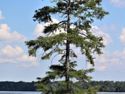 Great Dismal Swamp National Wildlife Refuge
