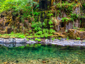 Willamette National Forest
