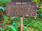 Willamette National Forest