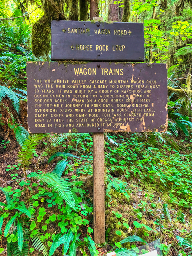 Willamette National Forest