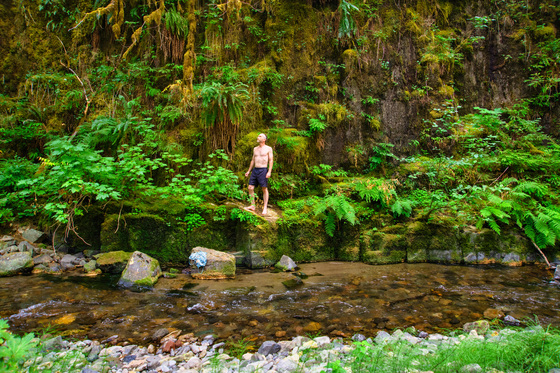 Willamette National Forest