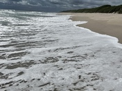 Canaveral National Seashore 