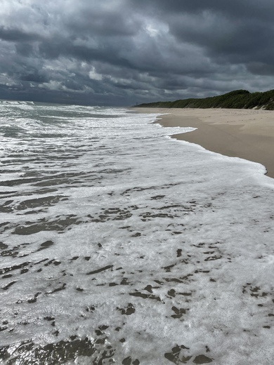 Canaveral National Seashore 
