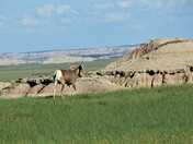 Badlands National Park