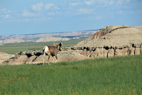 Badlands National Park