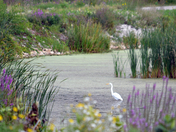 Horicon National Wildlife Refuge