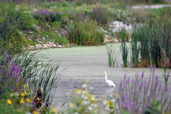 Horicon National Wildlife Refuge