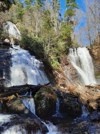Chattahoochee- Oconee National Forests