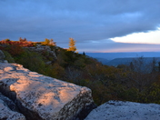 Monongahela National Forest