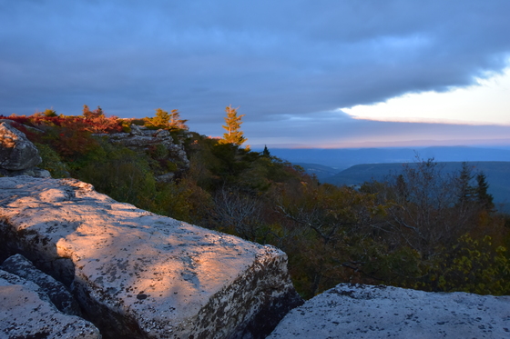 Monongahela National Forest