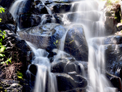 Yosemite National Park