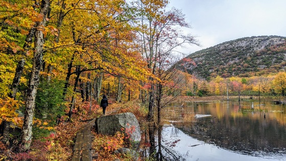 Acadia National Park