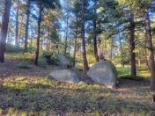 Pike-San Isabel National Forest