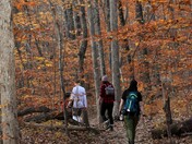 Ozark–St. Francis National Forest
