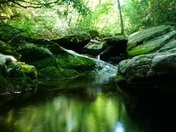 Blue ridge Parkway