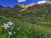 American Basin
