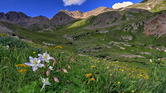 American Basin