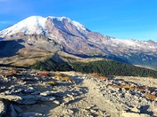 Mount Rainier National Park