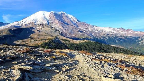 Mount Rainier National Park