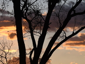 Loess Bluffs National Wildlife Refuge