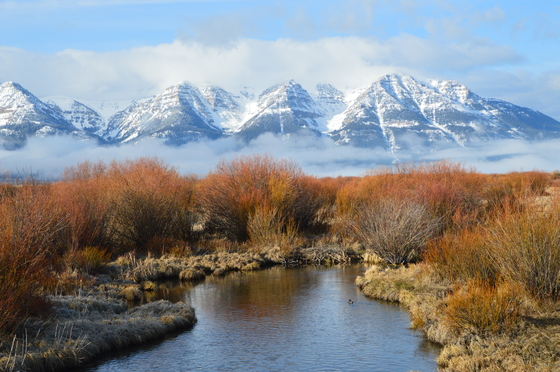 Red Rock Lakes National Wildlife Refuge