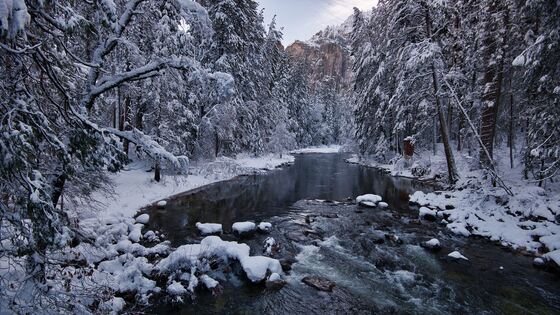 Yosemite National Park
