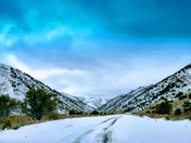 Humboldt-Toiyabe National Forest