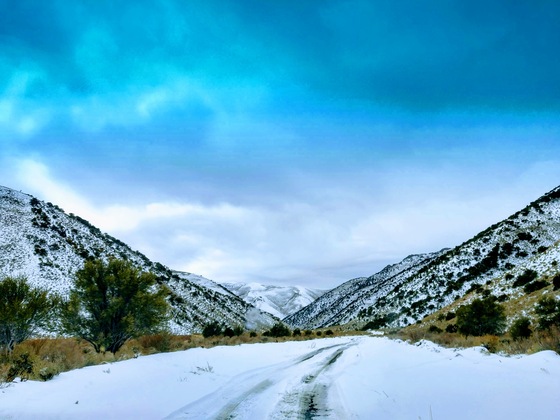 Humboldt-Toiyabe National Forest