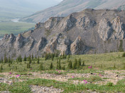 Firth River - Ivvavik National Park