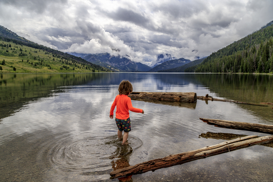 Bridger-Teton National Forest