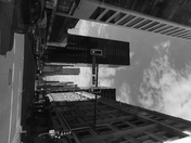 Black and white heart