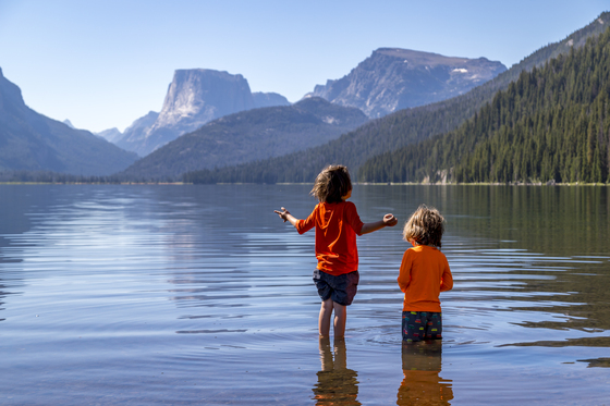 Bridger-Teton National Forest