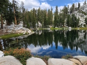 Sequoia National Park
