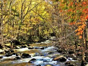 Great Smoky Mountain national Park