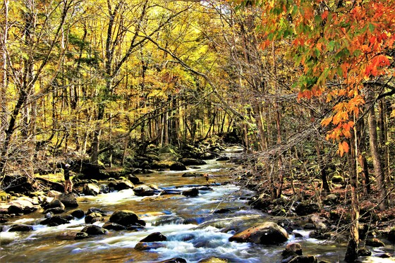 Great Smoky Mountain national Park