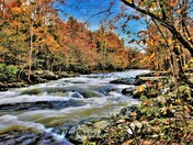 Great Smoky Mountain National Park
