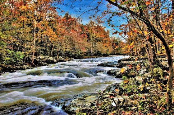 Great Smoky Mountain National Park