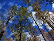 Great Smoky Mountain National Park