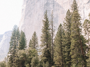 Yosemite National Park