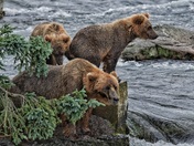 Katmai National Park and Preserve