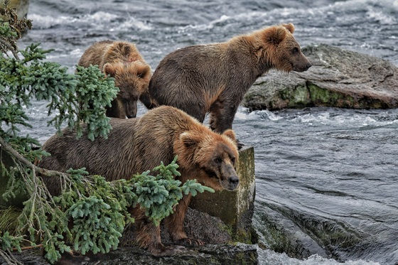 Katmai National Park and Preserve
